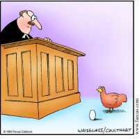 Курица и яйцо в суде