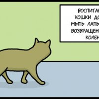 Чистые лапы Чистые лапы