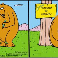 Медведей не кормить