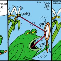 Прицел