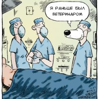 Хирург-ветеринар