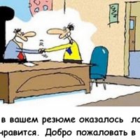 отлчное резюме продажника отлчное резюме продажника
