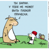 Прическа