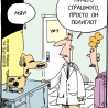 Котопес?