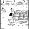 Общение