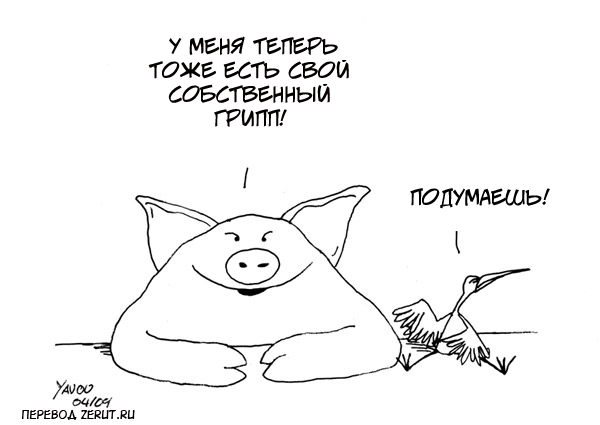 Карикатура Свиной грипп