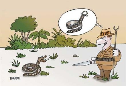 Карикатура Ремень