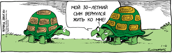 Карикатура Камбэк