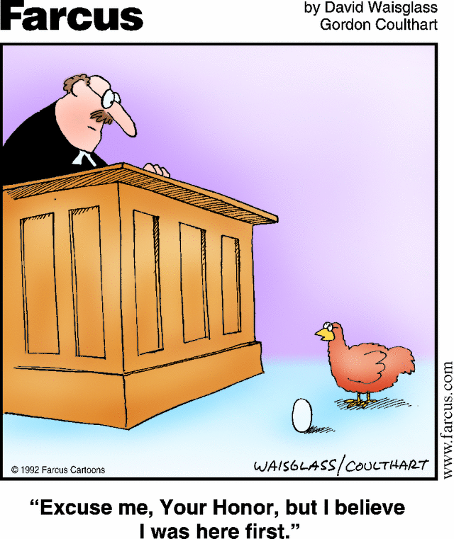 Карикатура Курица и яйцо в суде