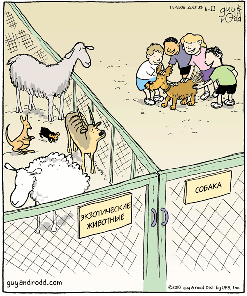 Карикатура В зоопарке