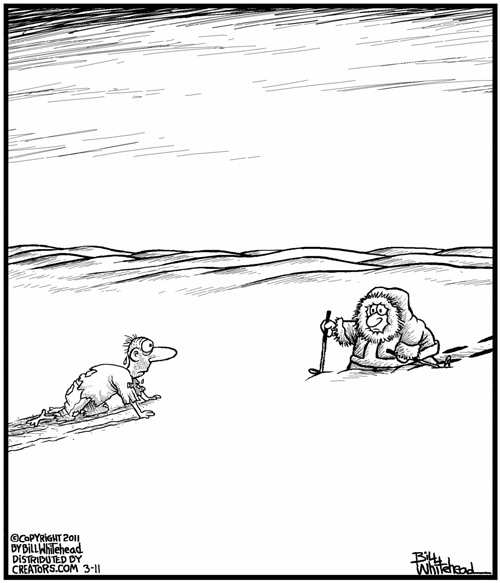 Карикатура Песок или снег?