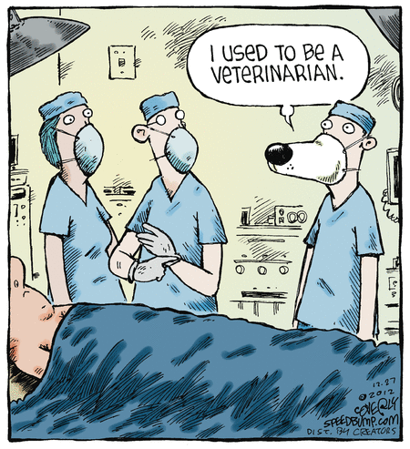 Карикатура Хирург-ветеринар