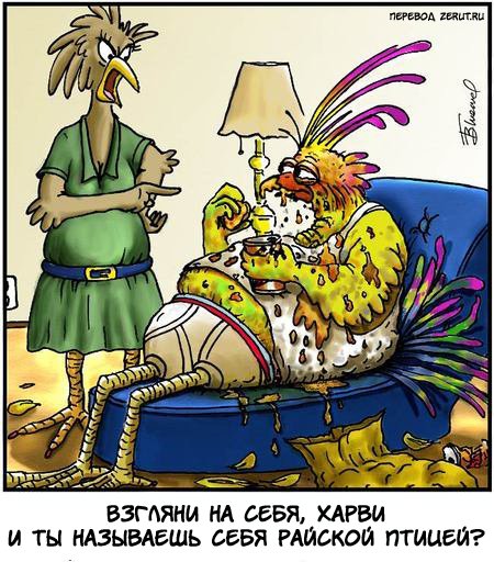 Карикатура Райская птица