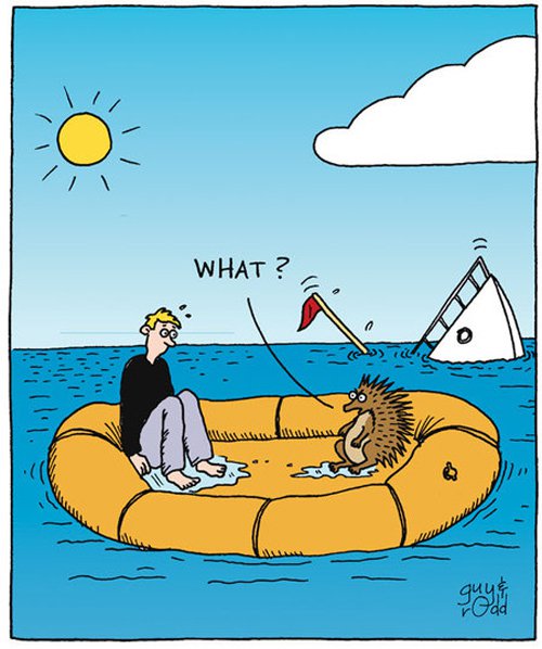 Карикатура В лодке 