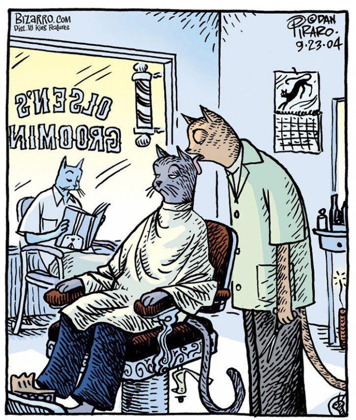 Карикатура Что делают коты в парикмахерской