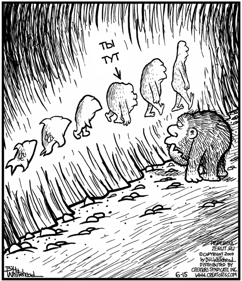 Карикатура Эволюция