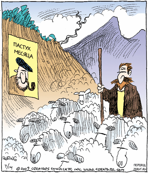 Карикатура Пастух месяца