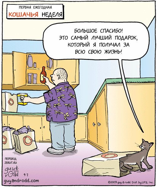 Карикатура Ежегодная кошачья неделя