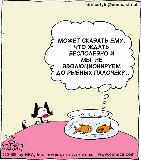 Карикатура Эволюция