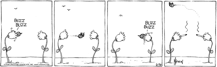 Карикатура Пестики и тычинки