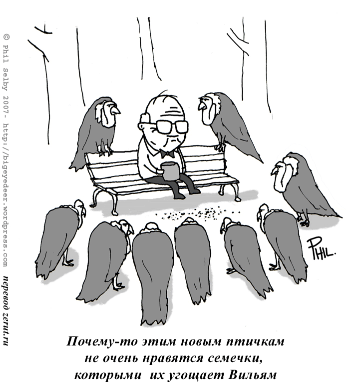 Карикатура Семечки